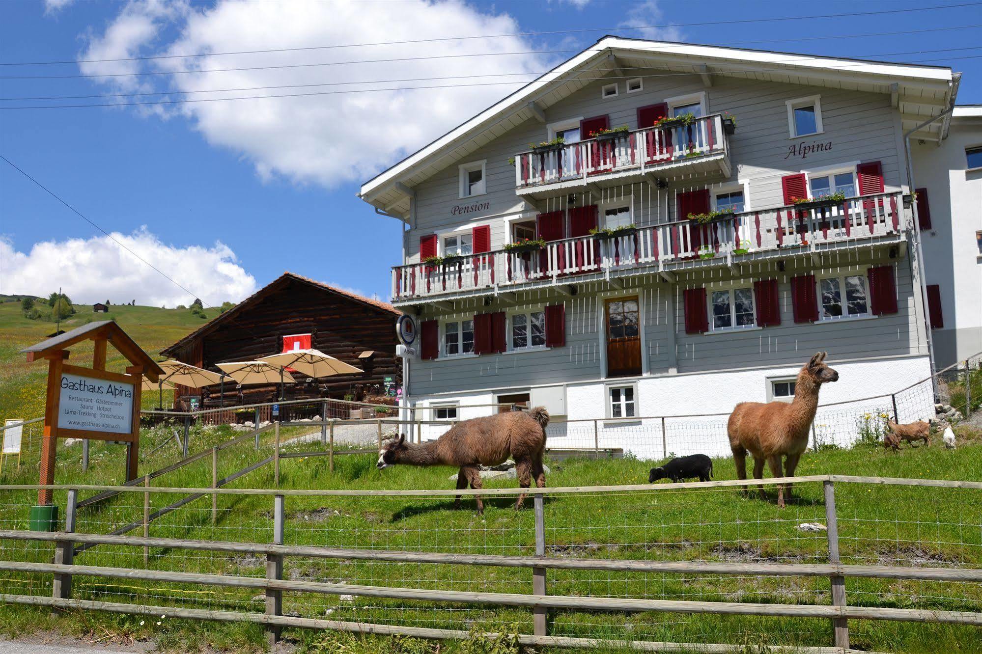 Hotel Gasthaus Alpina à Tschappina Extérieur photo