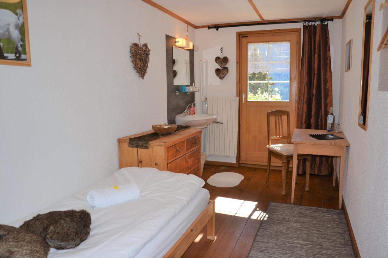 Gasthaus Alpina Tschappina Extérieur photo